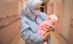 افزایش ازدواج و کاهش طلاق در قزوین